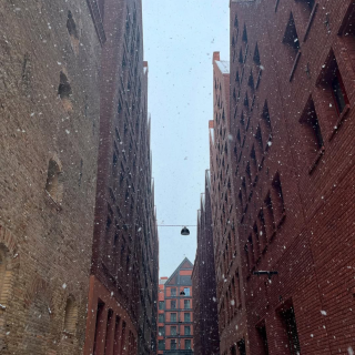 schneeflocke