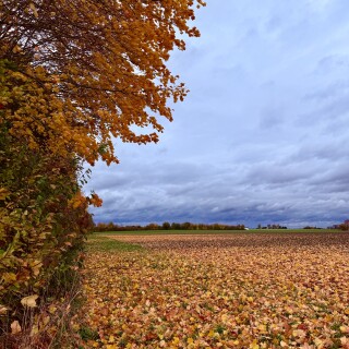 IMG_3912